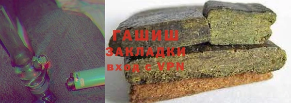 стаф Ельня