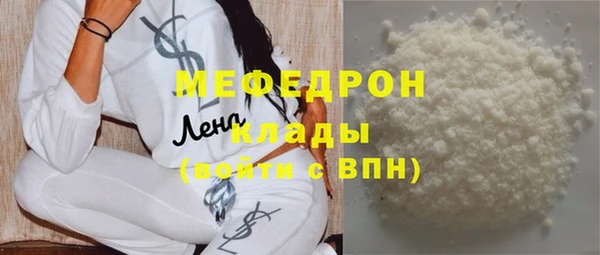 стаф Ельня