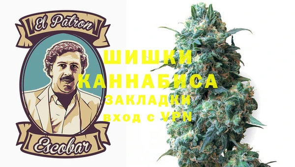 гашик Елизово