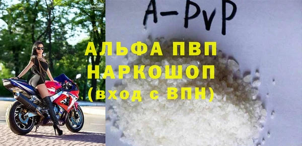 стаф Ельня