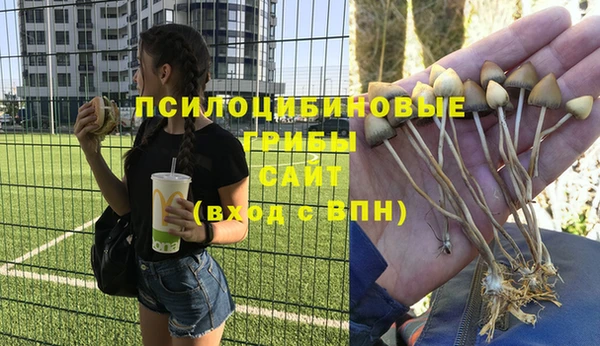 наркотики Дмитриев