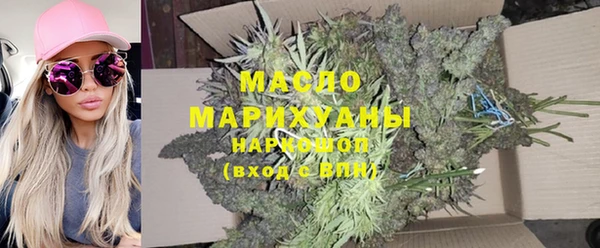 стаф Ельня
