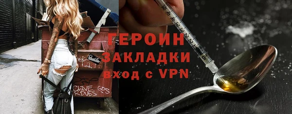 стаф Ельня