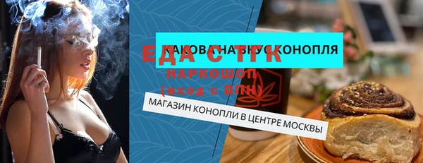 стаф Ельня