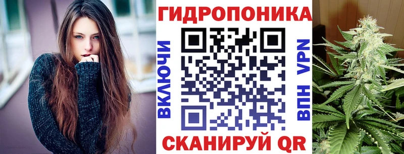 Бошки марихуана OG Kush  Иланский 